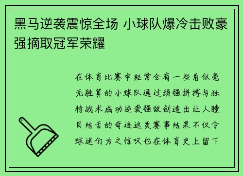 黑马逆袭震惊全场 小球队爆冷击败豪强摘取冠军荣耀