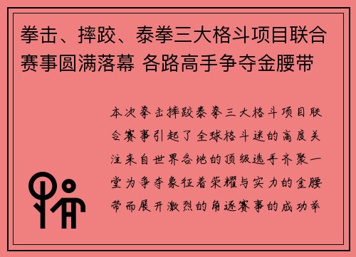 拳击、摔跤、泰拳三大格斗项目联合赛事圆满落幕 各路高手争夺金腰带